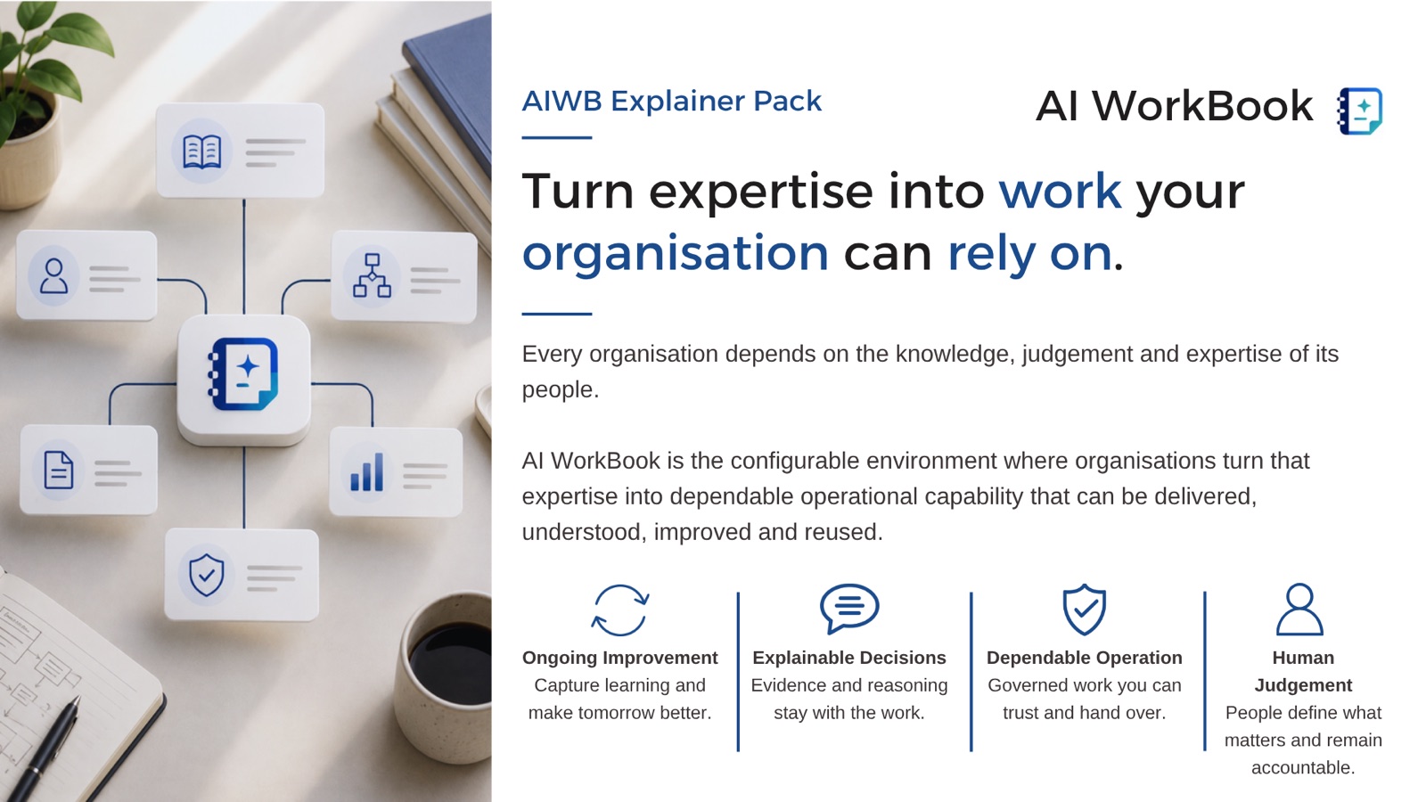 Cover of The executive view: turn expertise into work your organisation can rely on